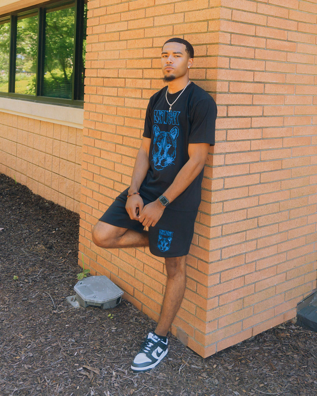 Shorts & Shirt set ( SHIRTS ONLY )