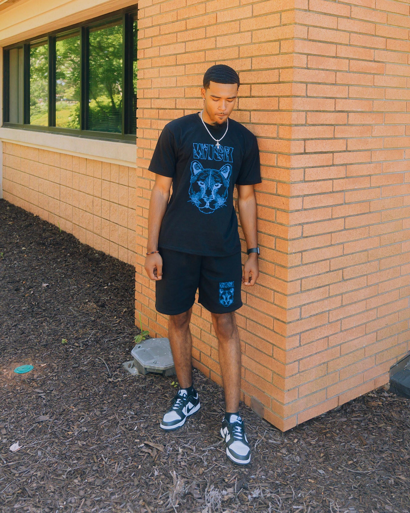 Shorts & Shirt set ( SHIRTS ONLY )