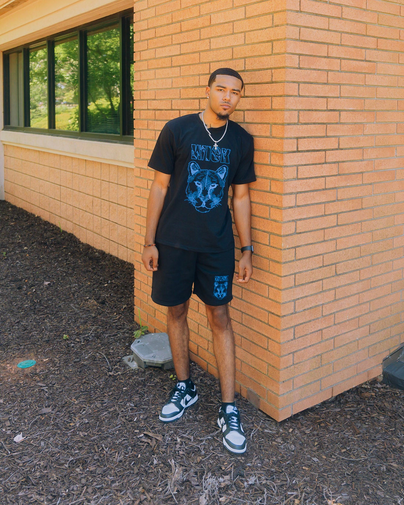 Shorts & Shirt set ( SHIRTS ONLY )